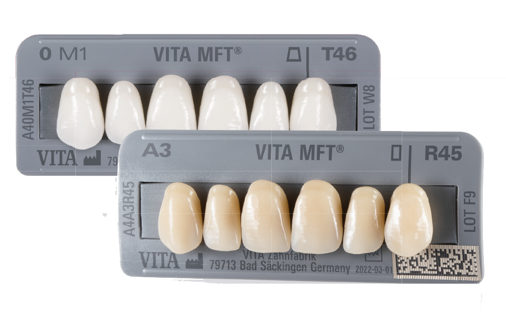 VITA MFT - DENTES MULTIFUNCIONAIS